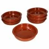 Null 6er Set Cazuela Tonschale Mit Griffen 16 Cm - 99508 -Null Shop 906cc793 fa1f 4cea 82b9 7f2911ee0ae5 1 scaled