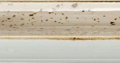 Null Steelite Platte Rechteckig 270 X 168 Mm - Craft Porcini 6 Er -Null Shop ad04e720 1949 42b5 b693 85b2f7f73130