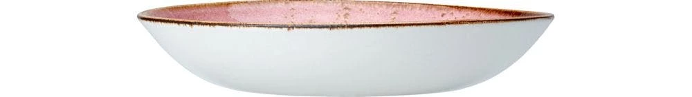 Null Steelite Coupeteller 253 Mm - Craft Rasperry 12 Er 7 Null Steelite Coupeteller 253 Mm - Craft Rasperry 12 Er – Bild 5